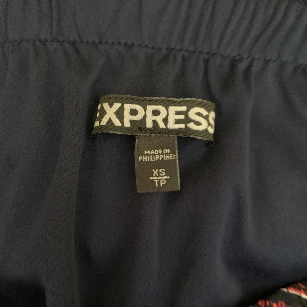 Express Mini Dress  Pink and Navy Chevron - Picture 3 of 3